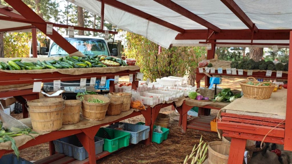 El mercado de agricultores del condado de Kootenai es uno de los mejores mercados de agricultores frescos de Idaho