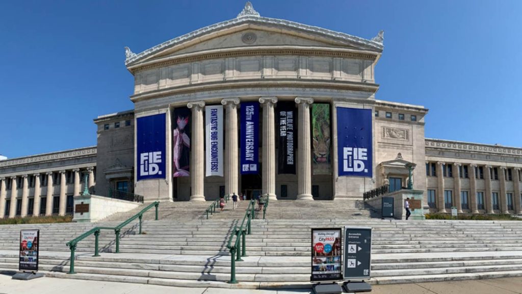 El Field Museum es uno de los mejores museos de Illinois que debes visitar