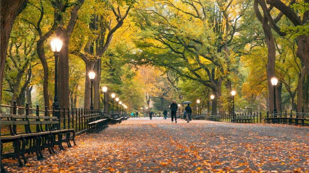 Central Park, Nueva York