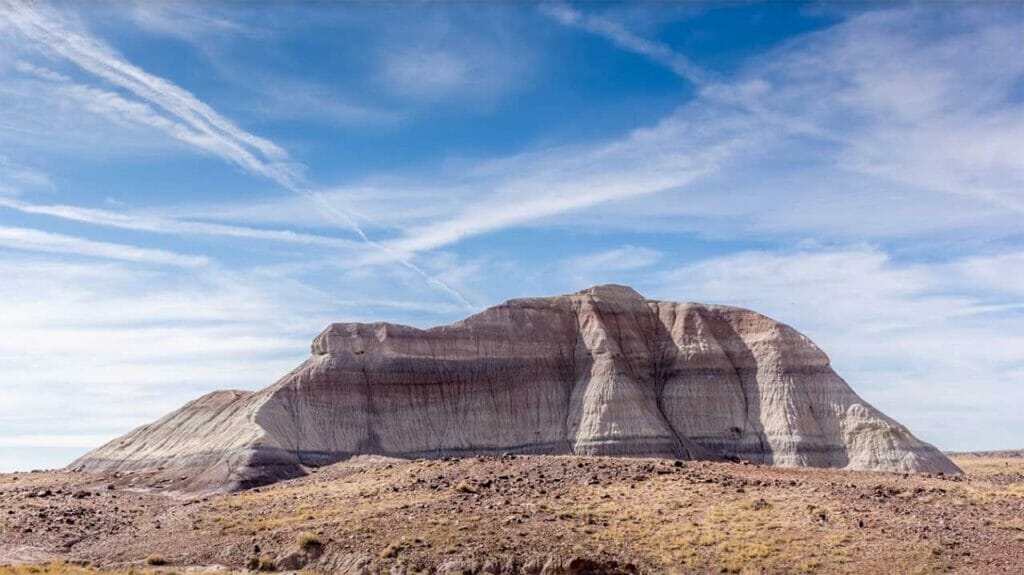 El Bosque Petrificado es uno de los mejores parques nacionales de Arizona