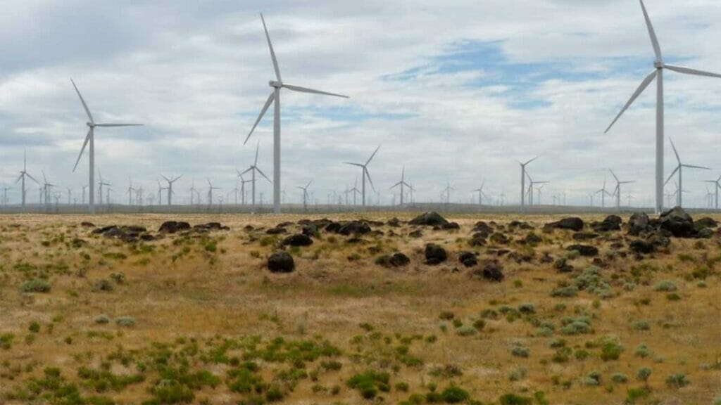 Shepherds Flat Wind Farm es uno de los parques eólicos más grandes de EE. UU.
