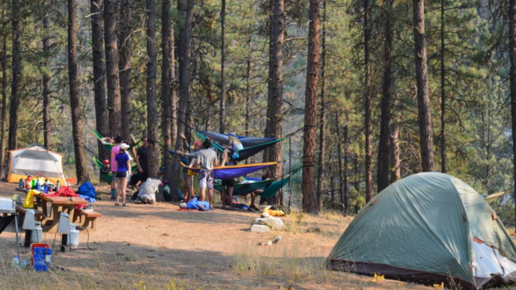 Camping Pine Flats