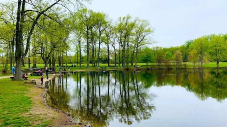 Los mejores lagos en Delaware para refrescar la mente