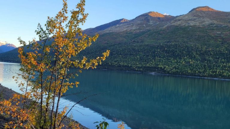 Las atracciones turísticas más populares en Alaska: descubre los destinos más impresionantes