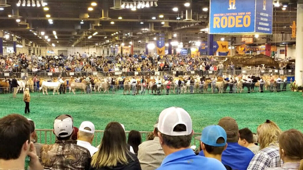Houston Livestock Show and Rodeo es uno de los rodeos más grandes de EE. UU.