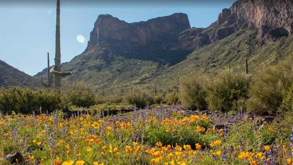 Picacho Peak es uno de los mejores parques estatales de Arizona